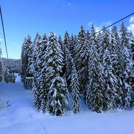 Pension Edelweiss Top 25 Гозау Екстер'єр фото