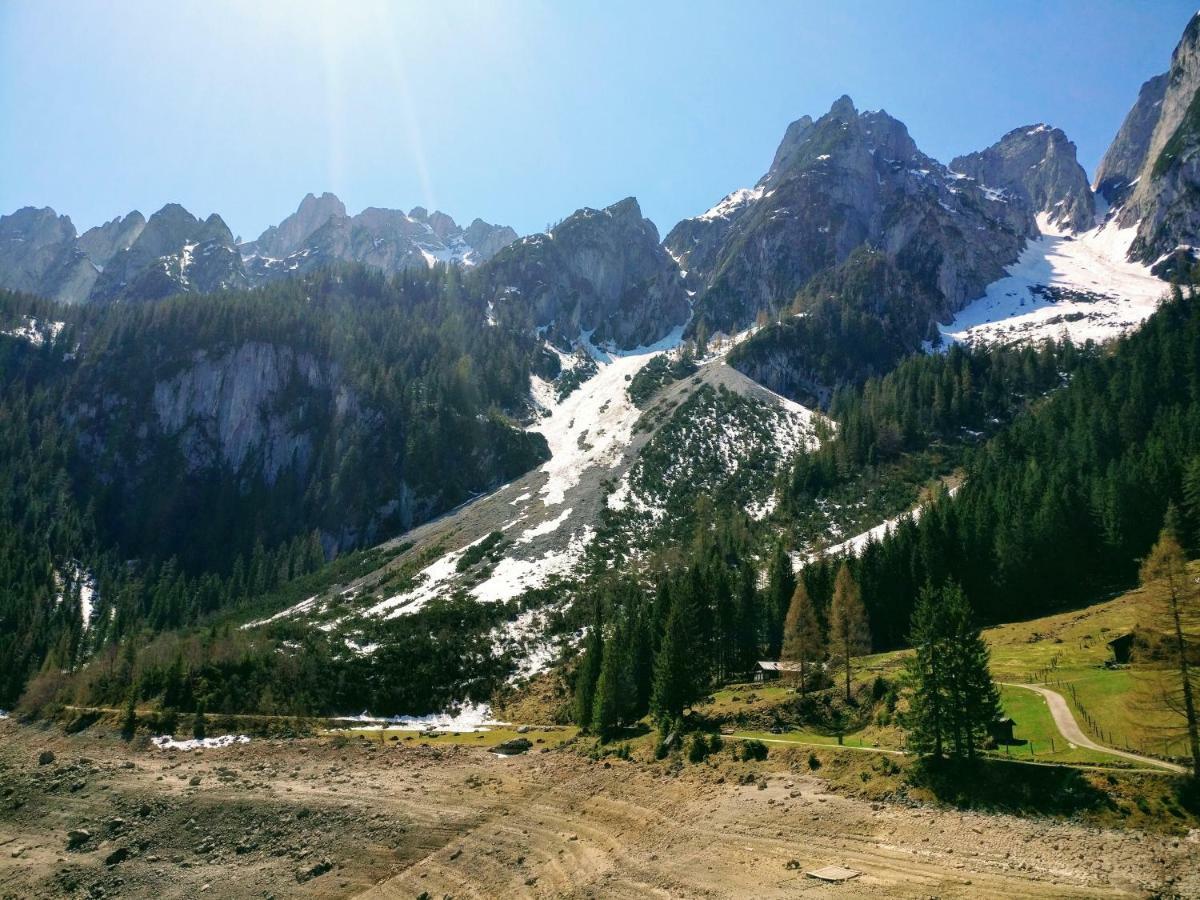 Pension Edelweiss Top 25 Гозау Екстер'єр фото