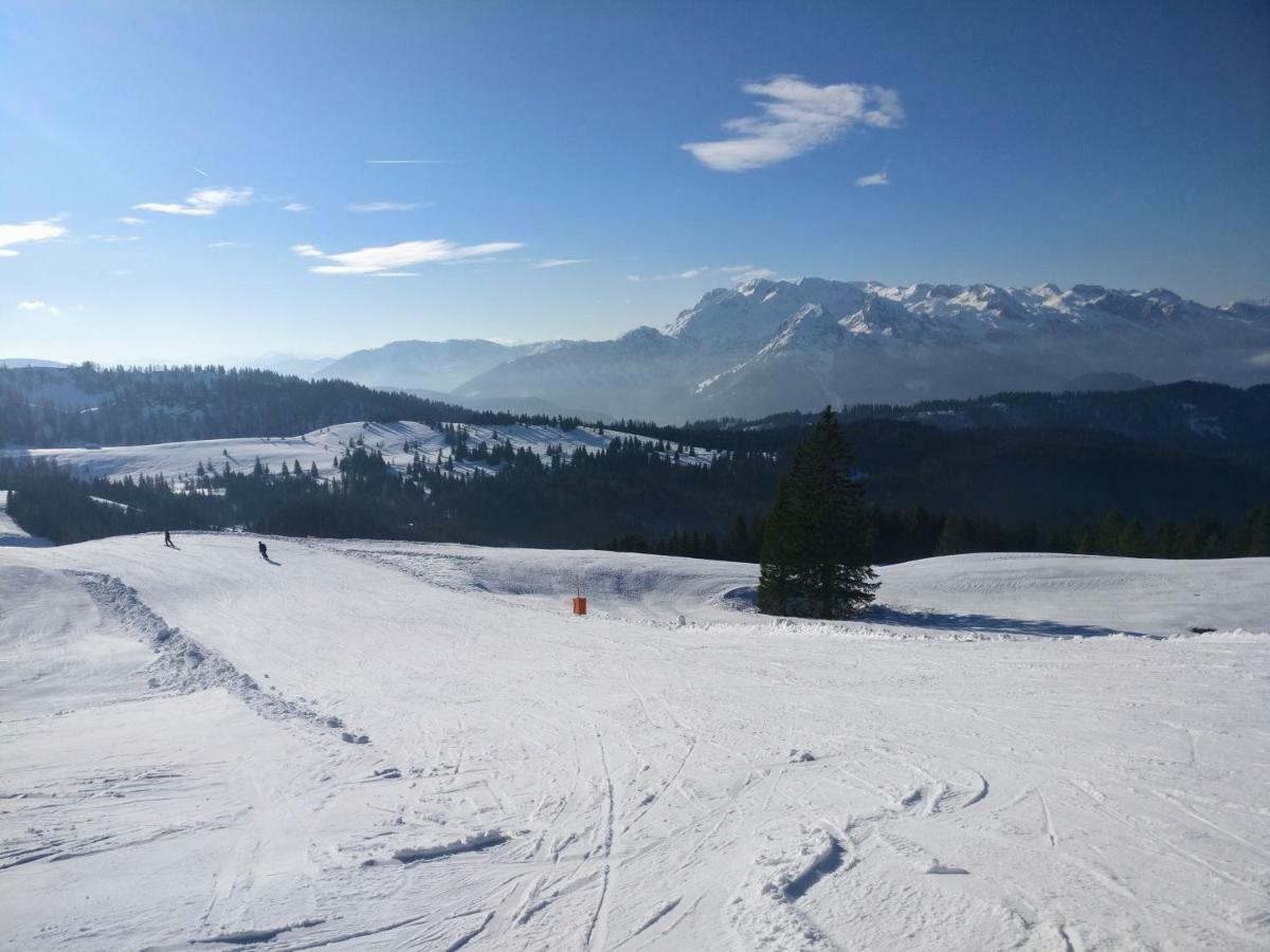 Pension Edelweiss Top 25 Гозау Екстер'єр фото