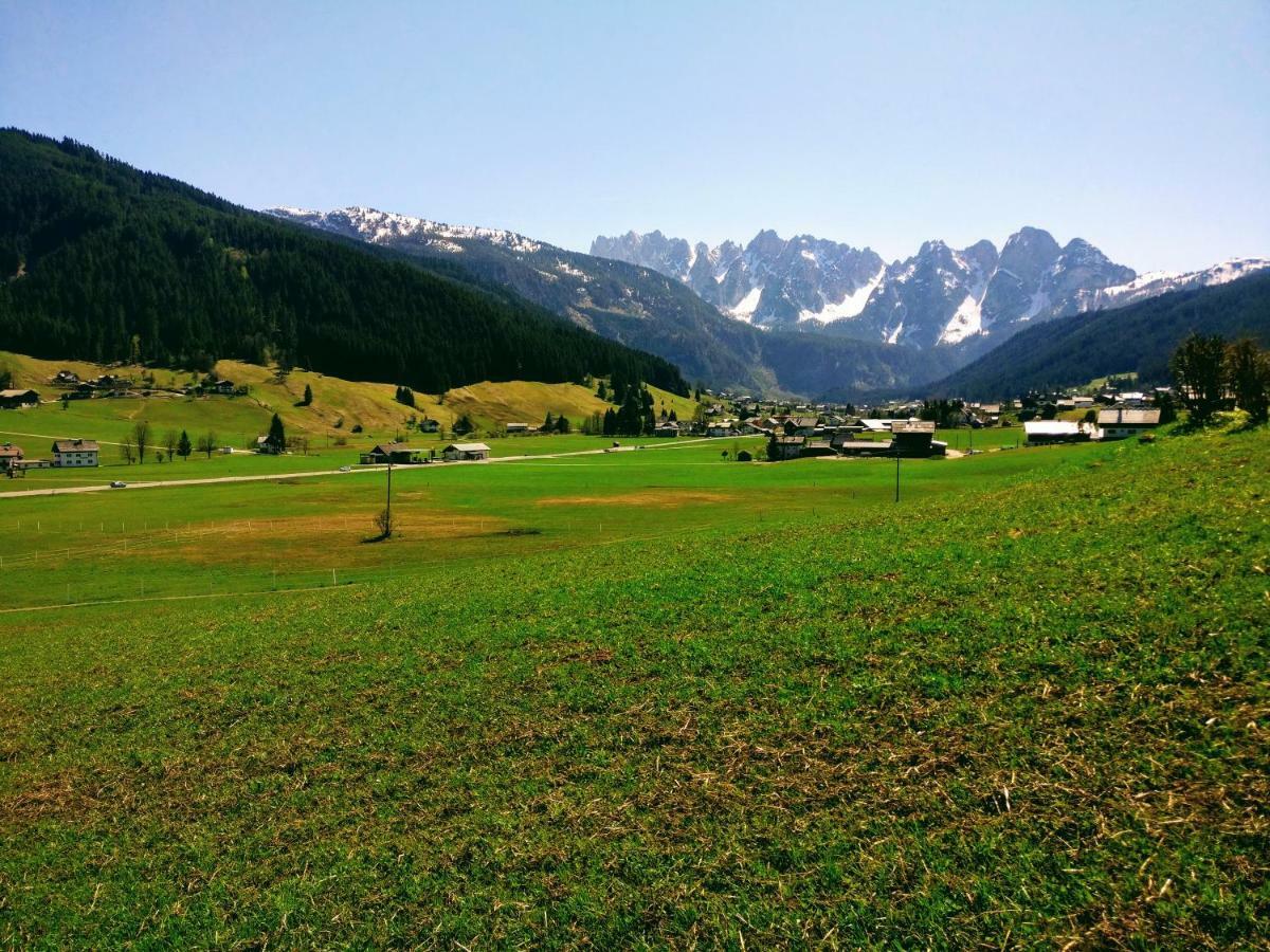 Pension Edelweiss Top 25 Гозау Екстер'єр фото