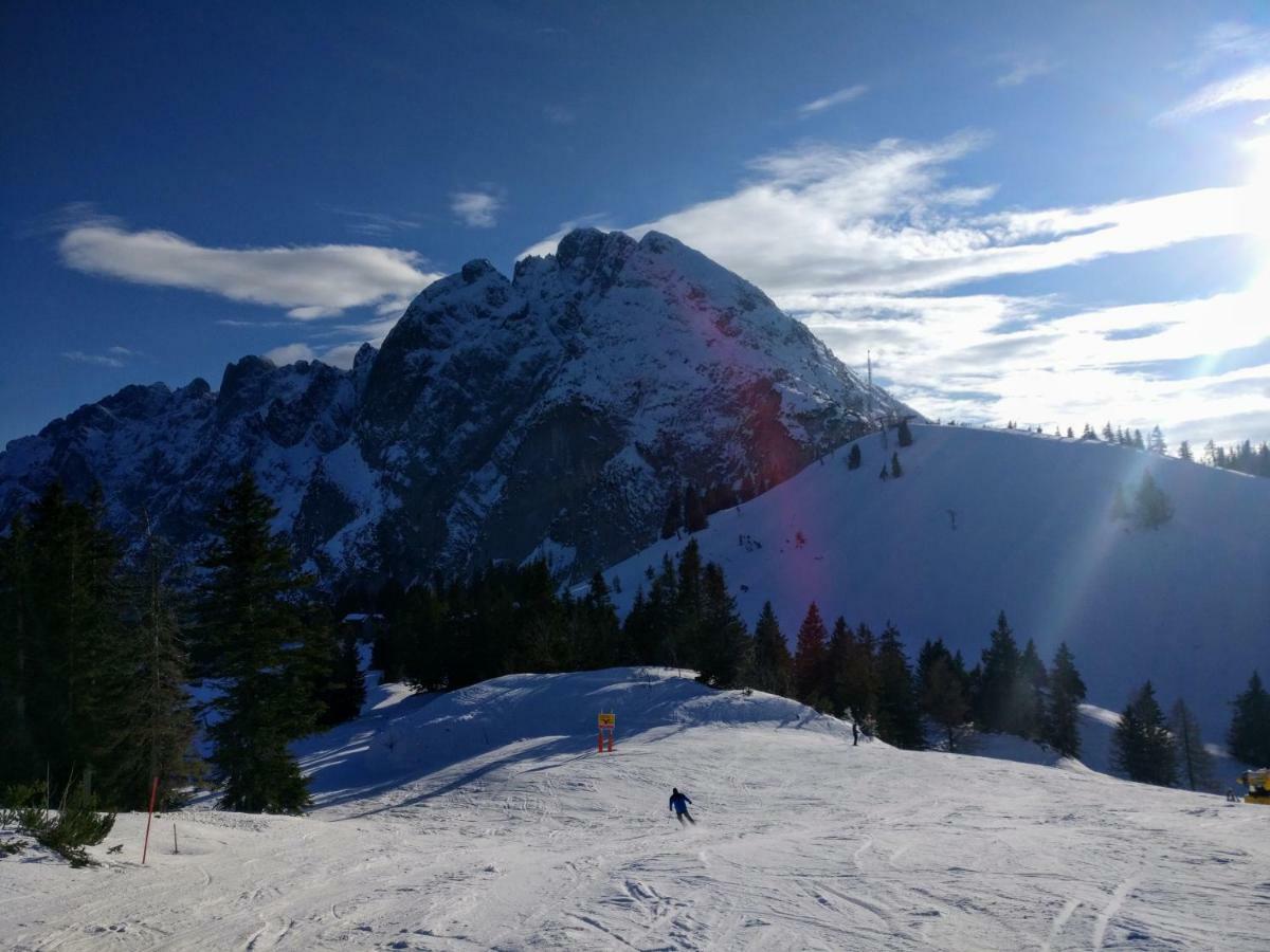 Pension Edelweiss Top 25 Гозау Екстер'єр фото