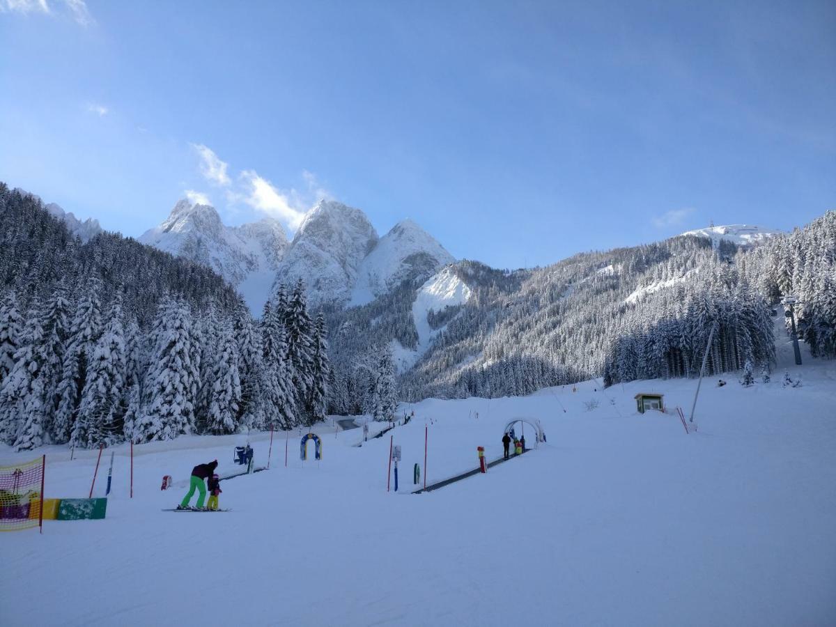 Pension Edelweiss Top 25 Гозау Екстер'єр фото
