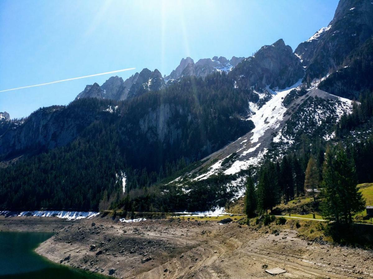 Pension Edelweiss Top 25 Гозау Екстер'єр фото