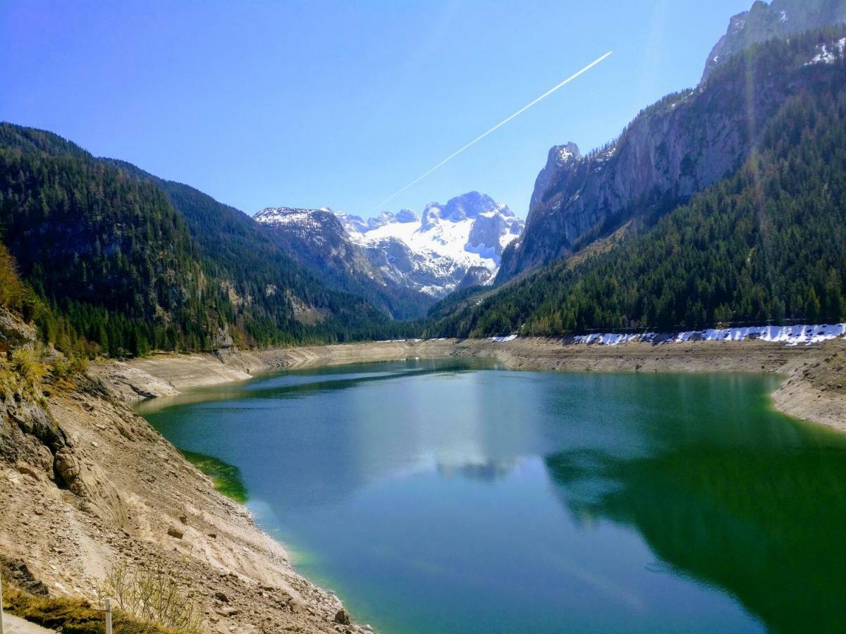 Pension Edelweiss Top 25 Гозау Екстер'єр фото