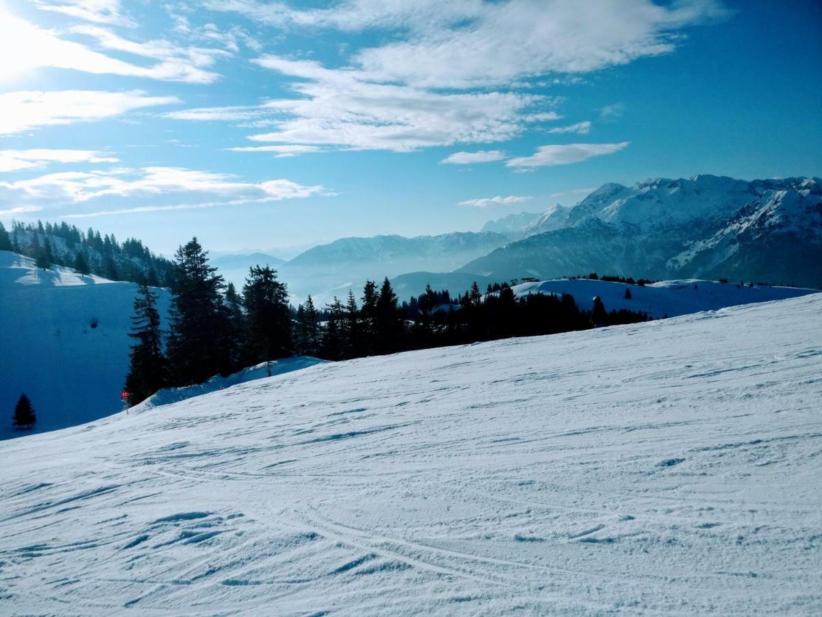 Pension Edelweiss Top 25 Гозау Екстер'єр фото