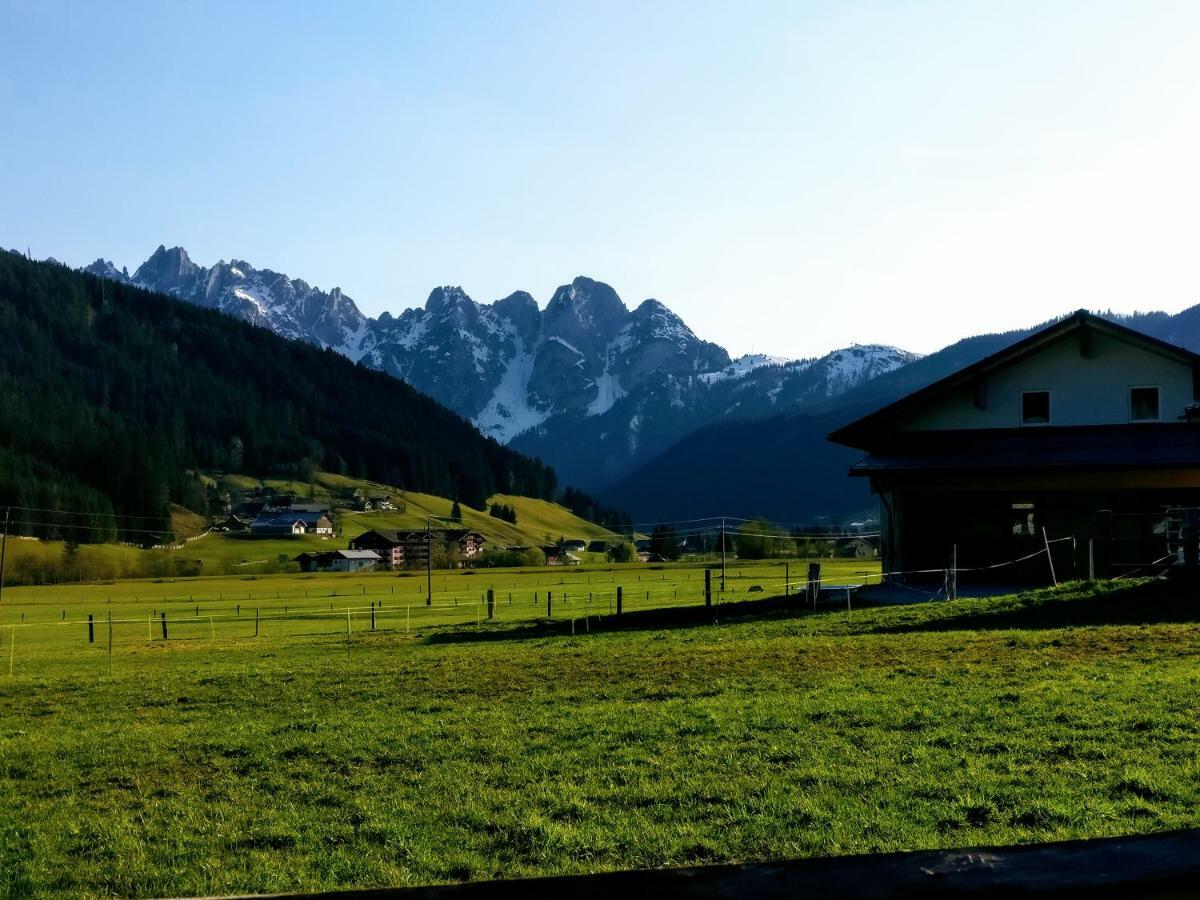 Pension Edelweiss Top 25 Гозау Екстер'єр фото