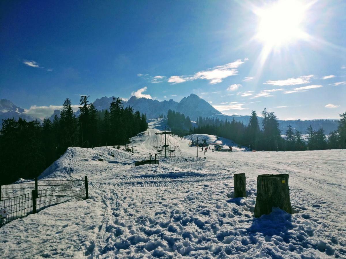 Pension Edelweiss Top 25 Гозау Екстер'єр фото