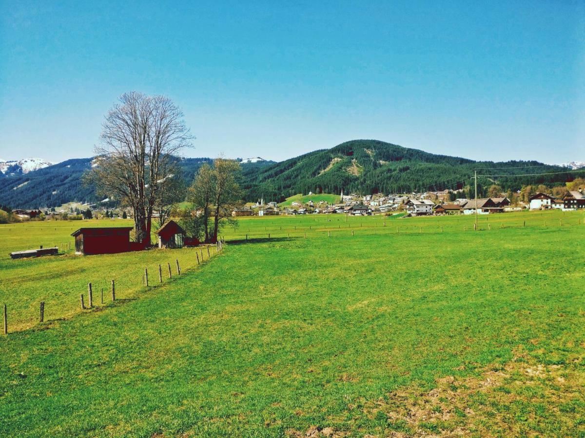 Pension Edelweiss Top 25 Гозау Екстер'єр фото