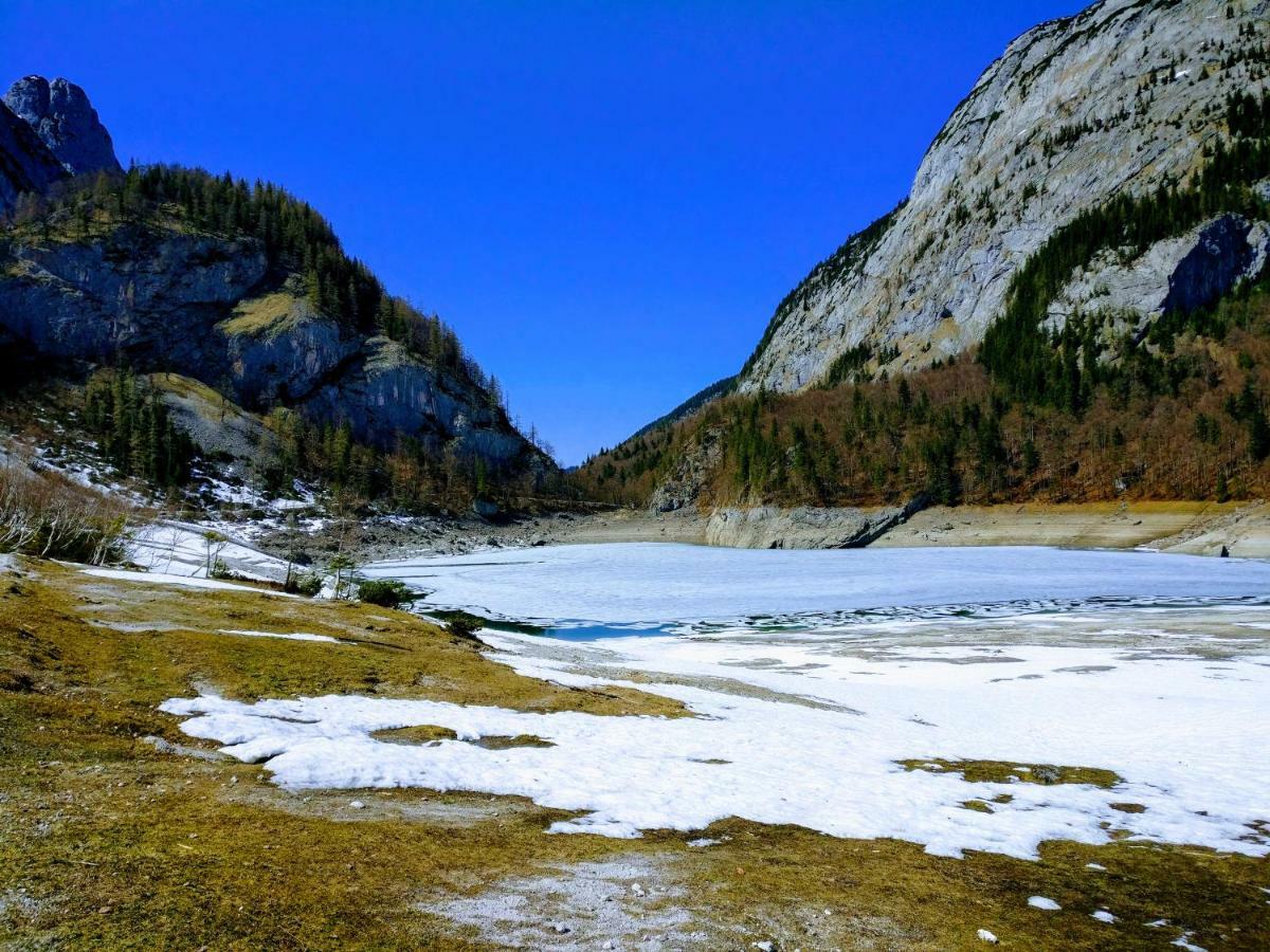 Pension Edelweiss Top 25 Гозау Екстер'єр фото