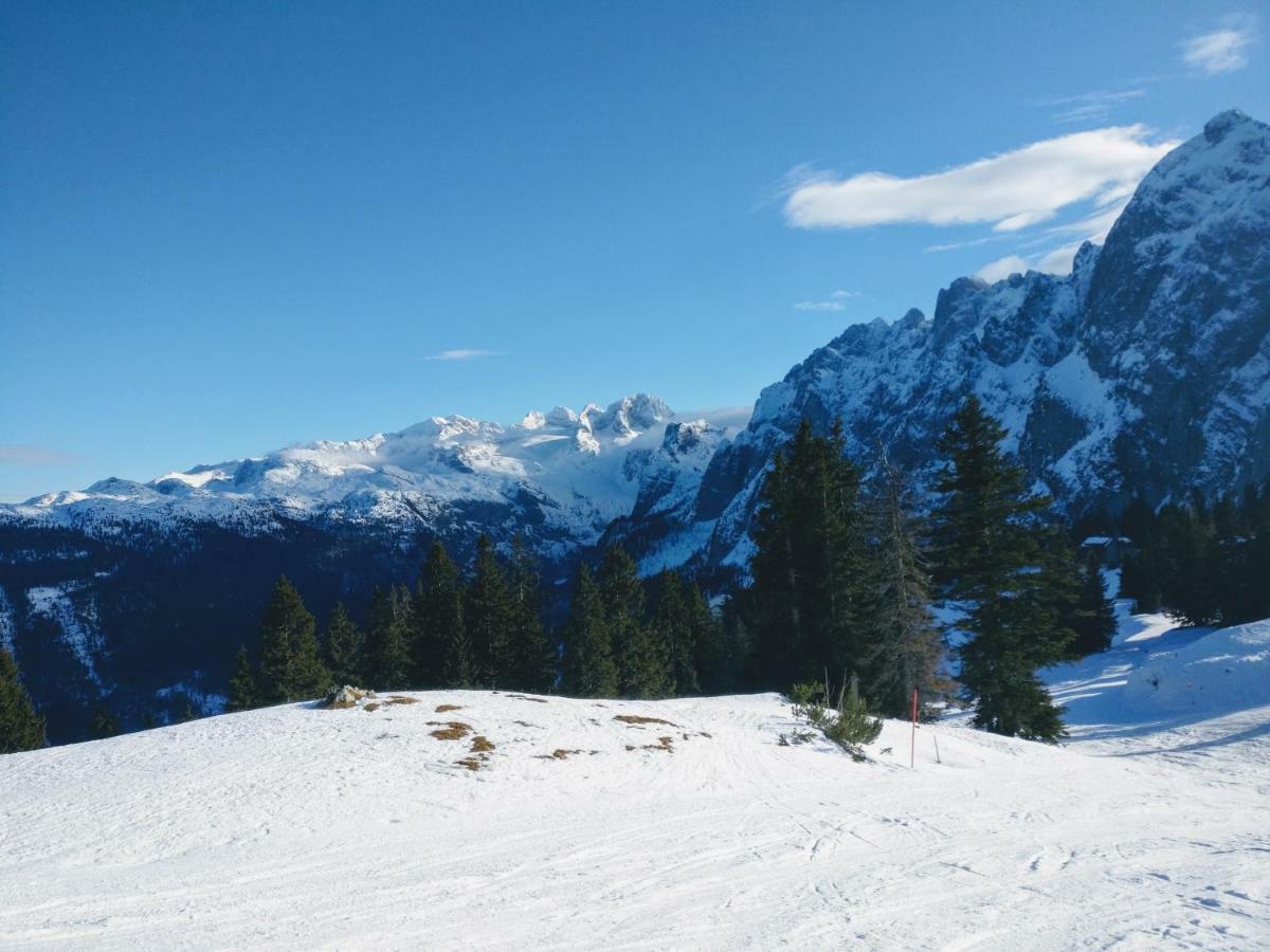 Pension Edelweiss Top 25 Гозау Екстер'єр фото