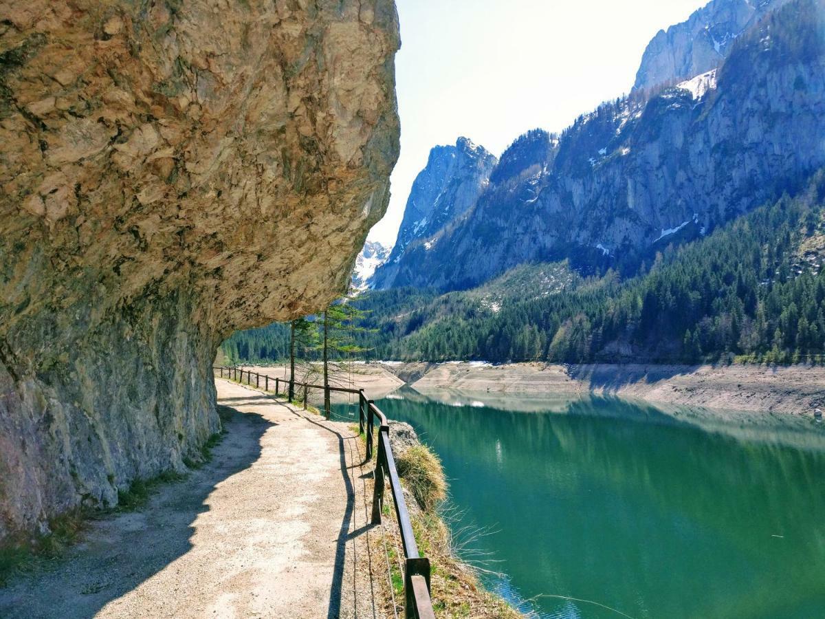 Pension Edelweiss Top 25 Гозау Екстер'єр фото