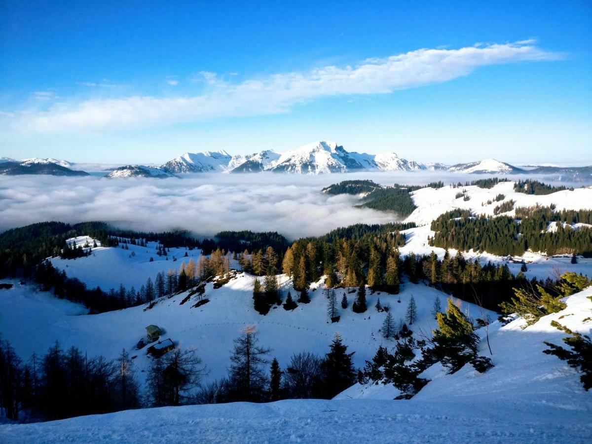 Pension Edelweiss Top 25 Гозау Екстер'єр фото