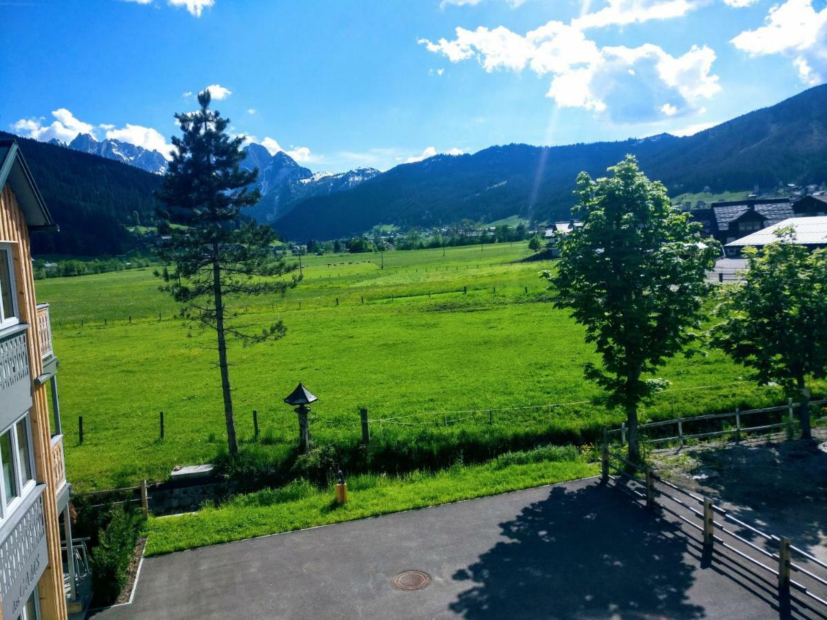 Pension Edelweiss Top 25 Гозау Екстер'єр фото