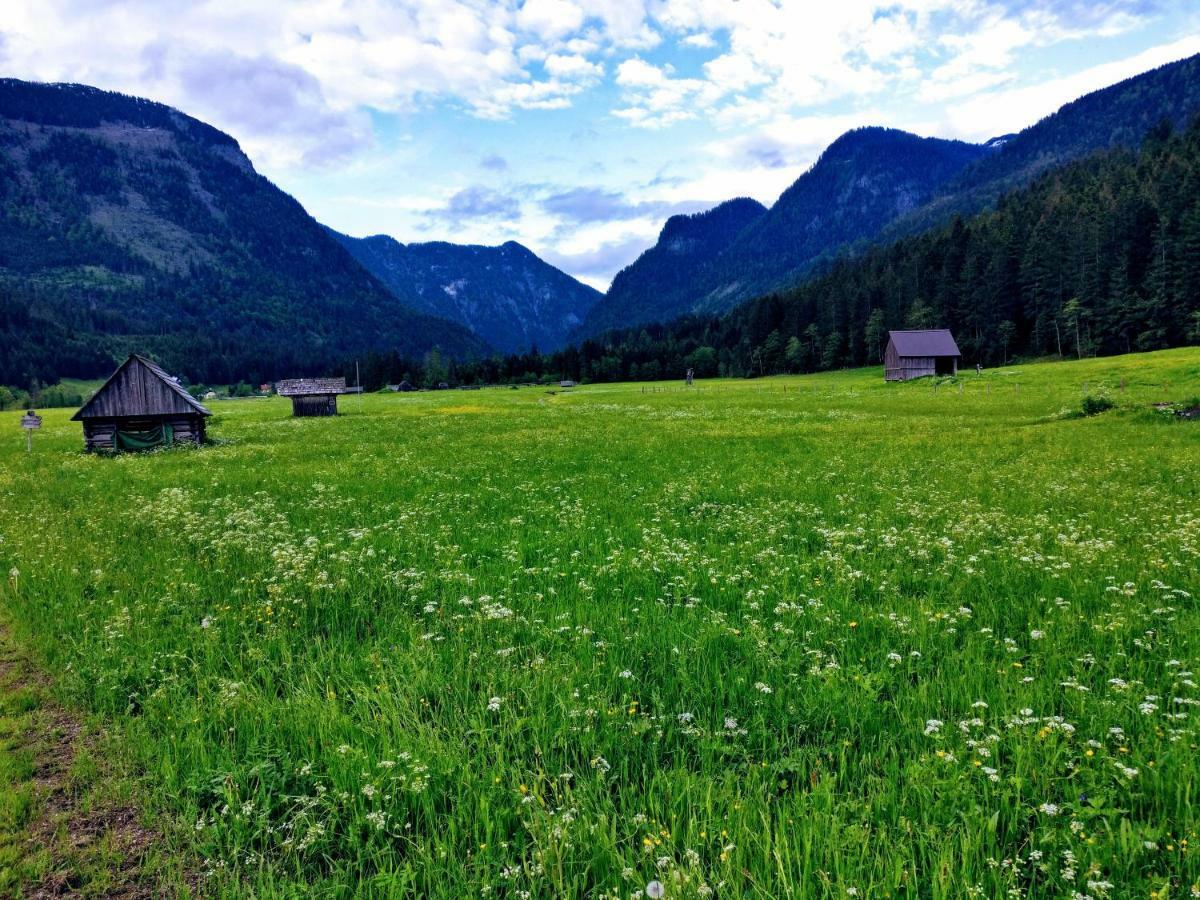 Pension Edelweiss Top 25 Гозау Екстер'єр фото